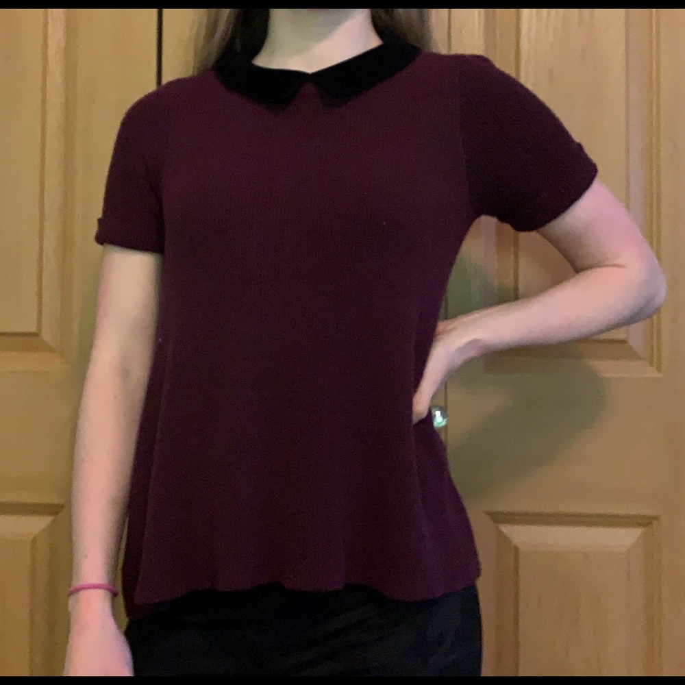 collar sweater
